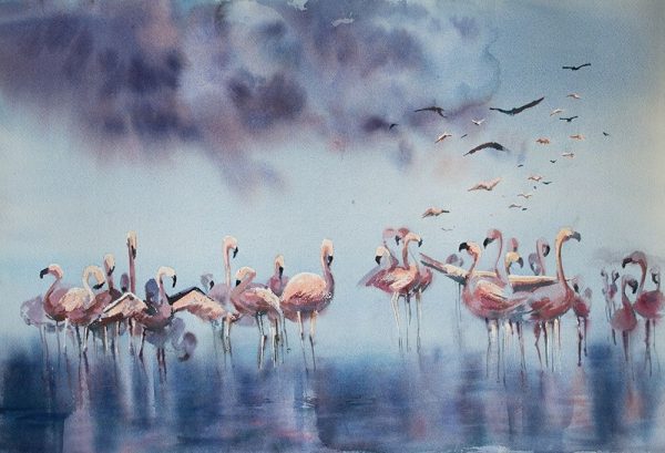 Flamingo Gathering