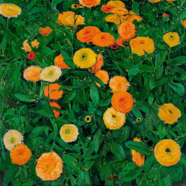 Marigolds