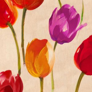 Tulip Funk (detail)