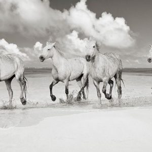 Band of Brothers- Lanikai Beach- Hawaii (BW)