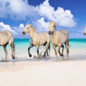 Band of Brothers- Lanikai Beach- Hawaii