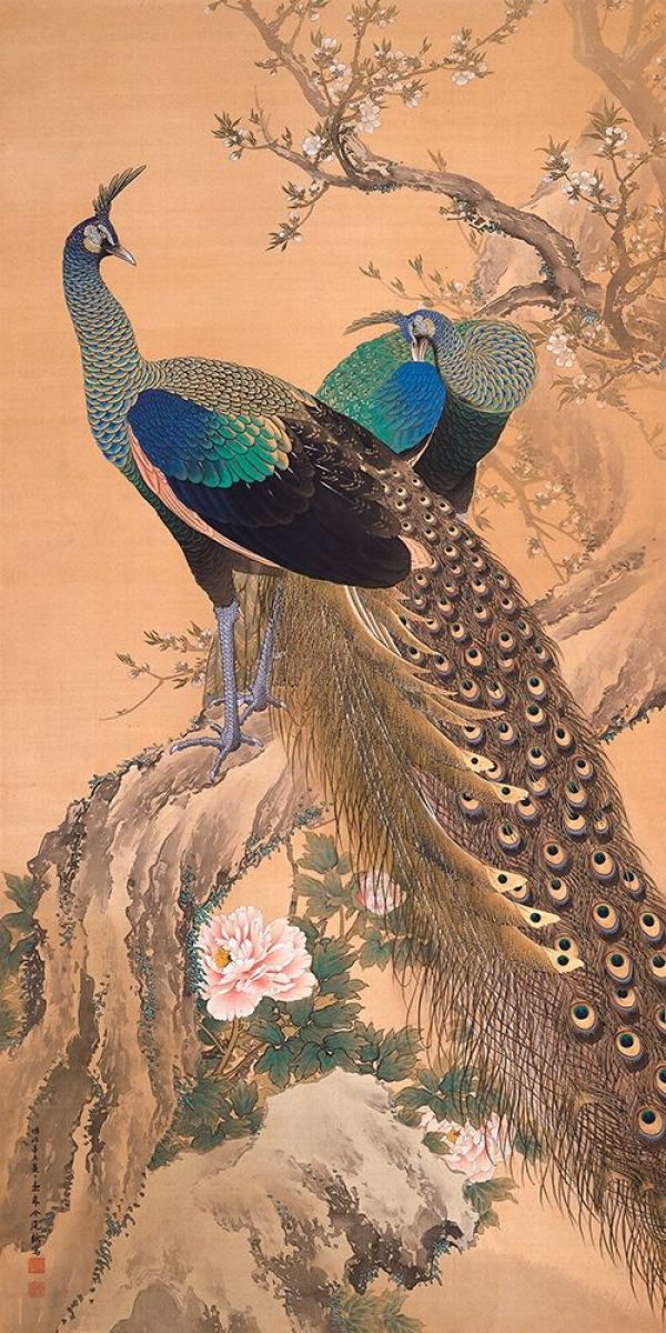 A Pair of Peacocks in Spring