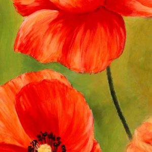 Poppies in the wind I