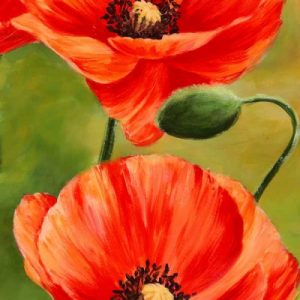 Poppies in the wind II