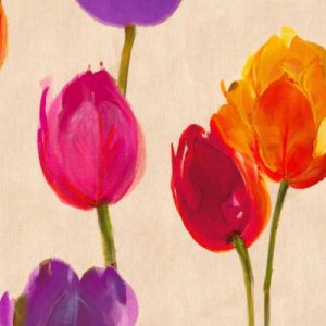 Tulips and Colors