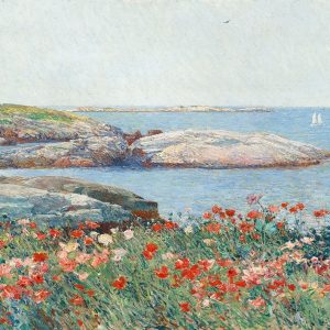 Poppies- Isles of Shoals