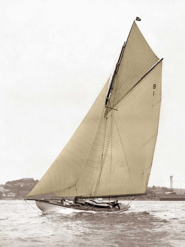 Victorian sloop on Sydney Harbour