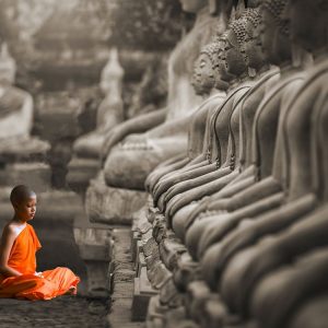 Young Buddhist Monk praying, Thailand (BW)