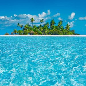 Tropical lagoon with palm island, Maldives