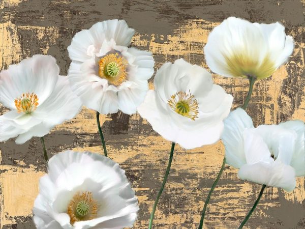 Washed Poppies (Ash and Gold)