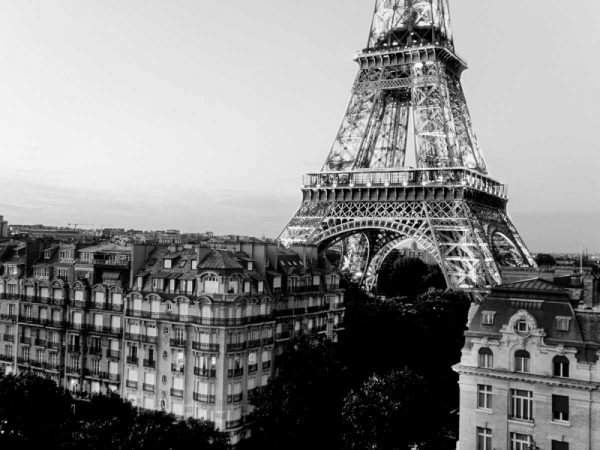 Eiffel tower and buildings, Paris