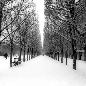 The Tuileries Garden under the snow, Paris