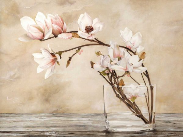 Fiori di magnolia