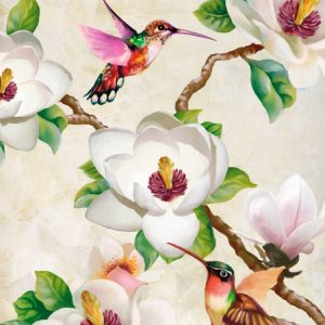 Magnolia and Humming Birds