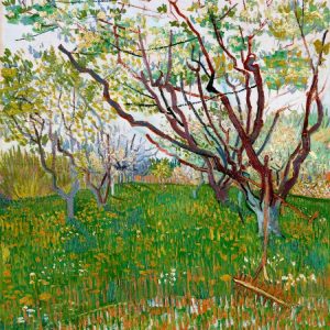 The Flowering Orchard