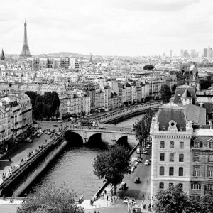 View of Paris and Seine river