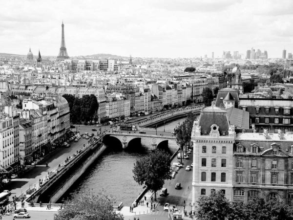 View of Paris and Seine river