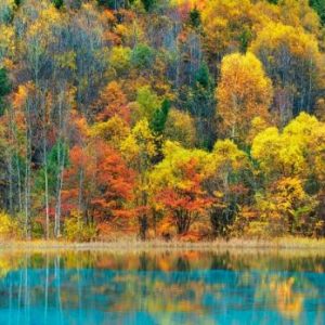 Lake and forest in autumn, China