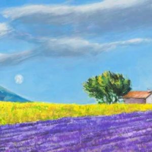 Campi di lavanda