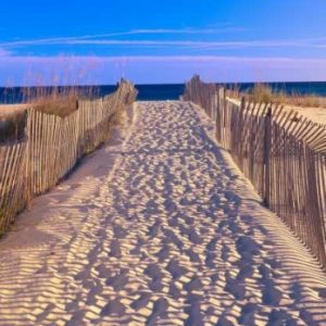 Pathway to the Beach, Florida, USA