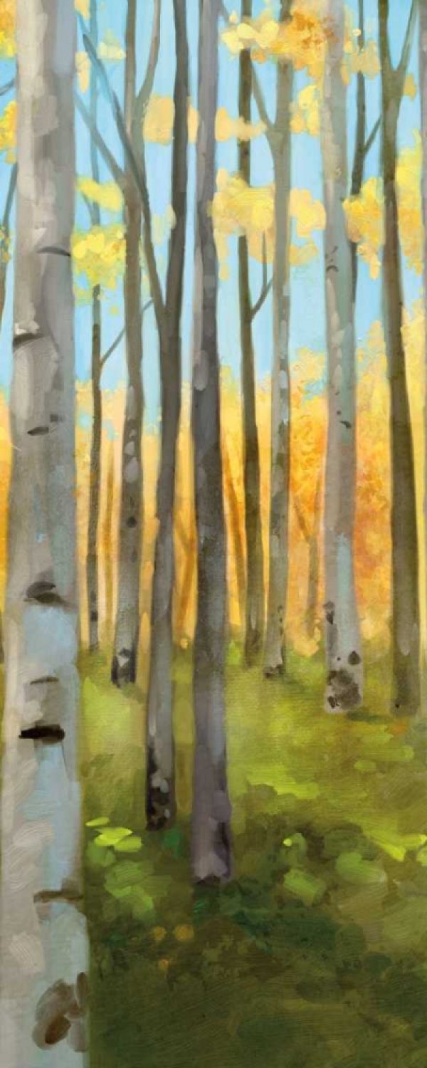 Birch Woods Panel I