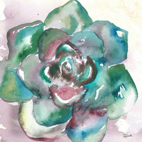 Succulent Watercolor IV