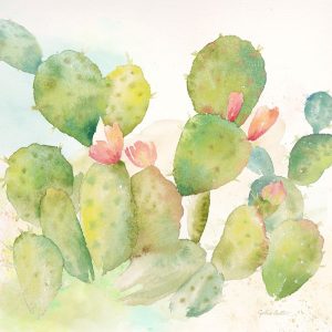 Cactus Garden I