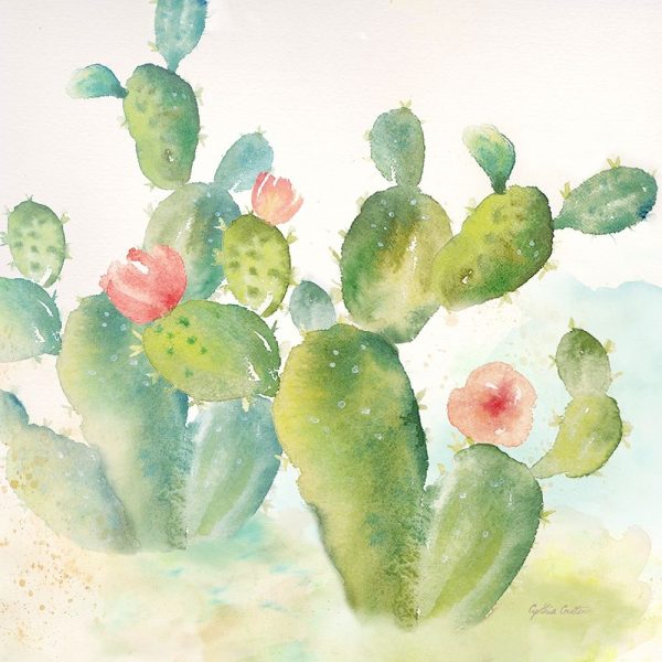 Cactus Garden III