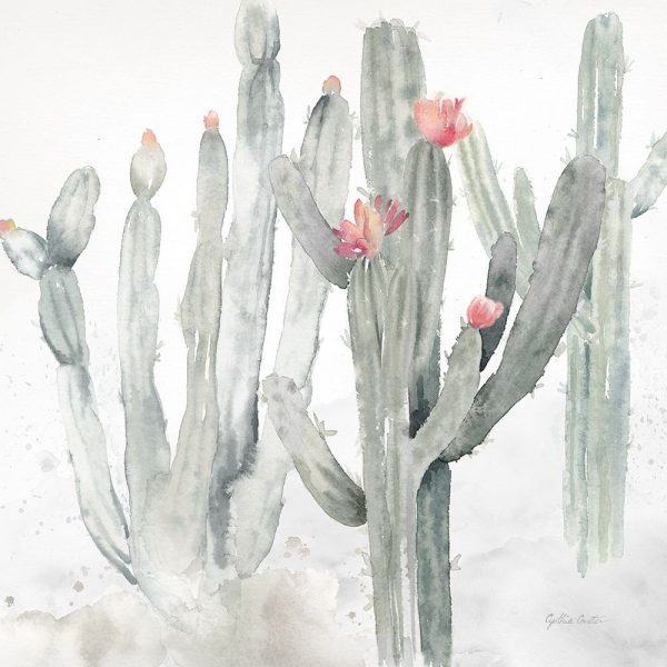 Cactus Garden Gray Blush II