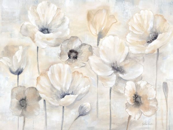 Gray Poppy Garden Landscape