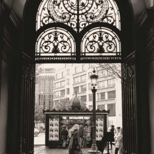 Filigree Iron Doors