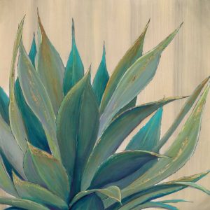 Wild Agave 1