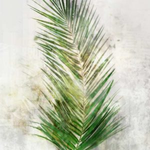 Textured Areca Palm