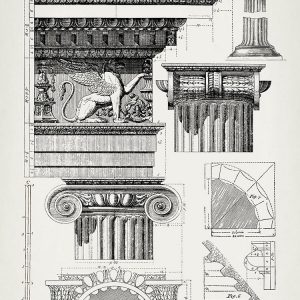 Column Details 1