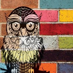 BRICK OWL