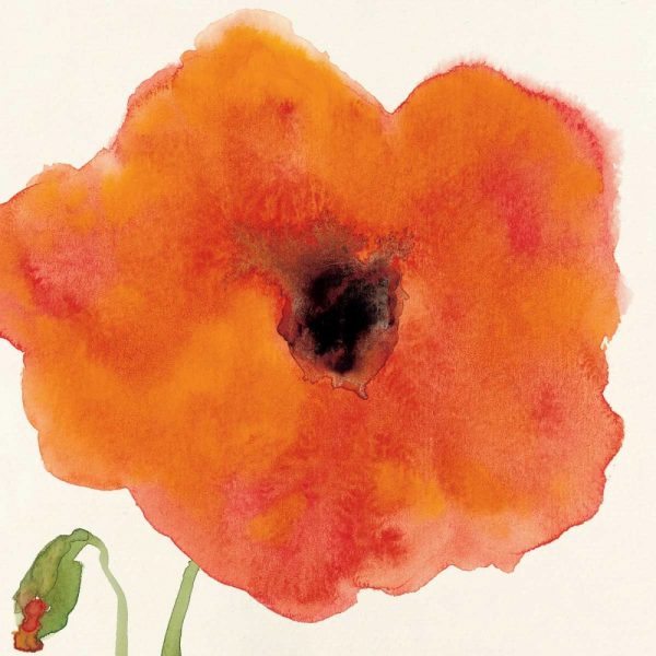 Poppy I