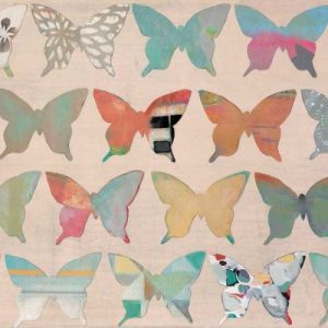 Butterfly Collection