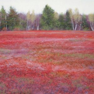 Blueberry Fields In Autumn