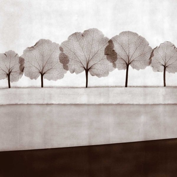 Leaf Landscape Triptych - A