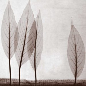 Leaf Landscape Triptych - B