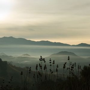 Fog in the Mountain