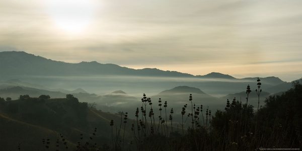 Fog in the Mountain