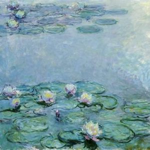 Water Lilies