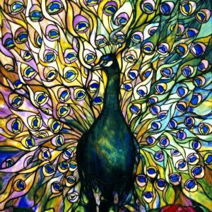 Fine Peacock