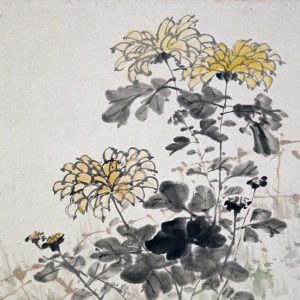 Chrysanthemums