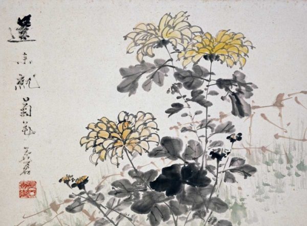 Chrysanthemums