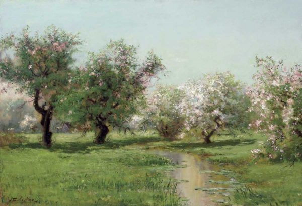 The Orchard In Spring