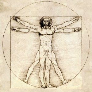 Proportions of the Human Figure - Vitruvian Man