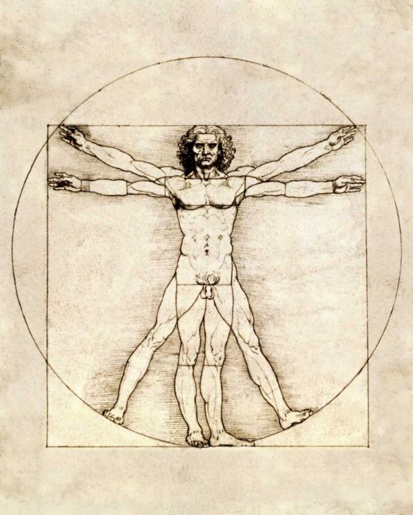 Proportions of the Human Figure - Vitruvian Man