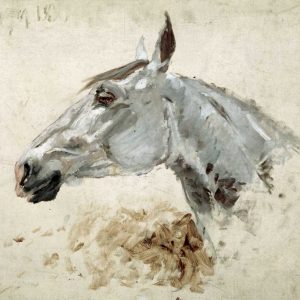 Testo Di Cavallo